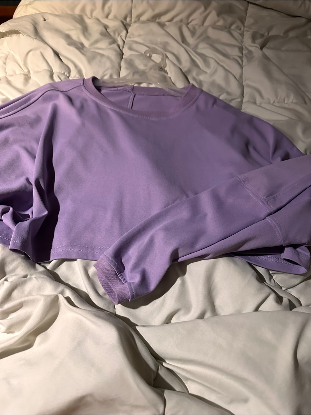 SHEIN Lilac Cropped Long-Sleeve Top